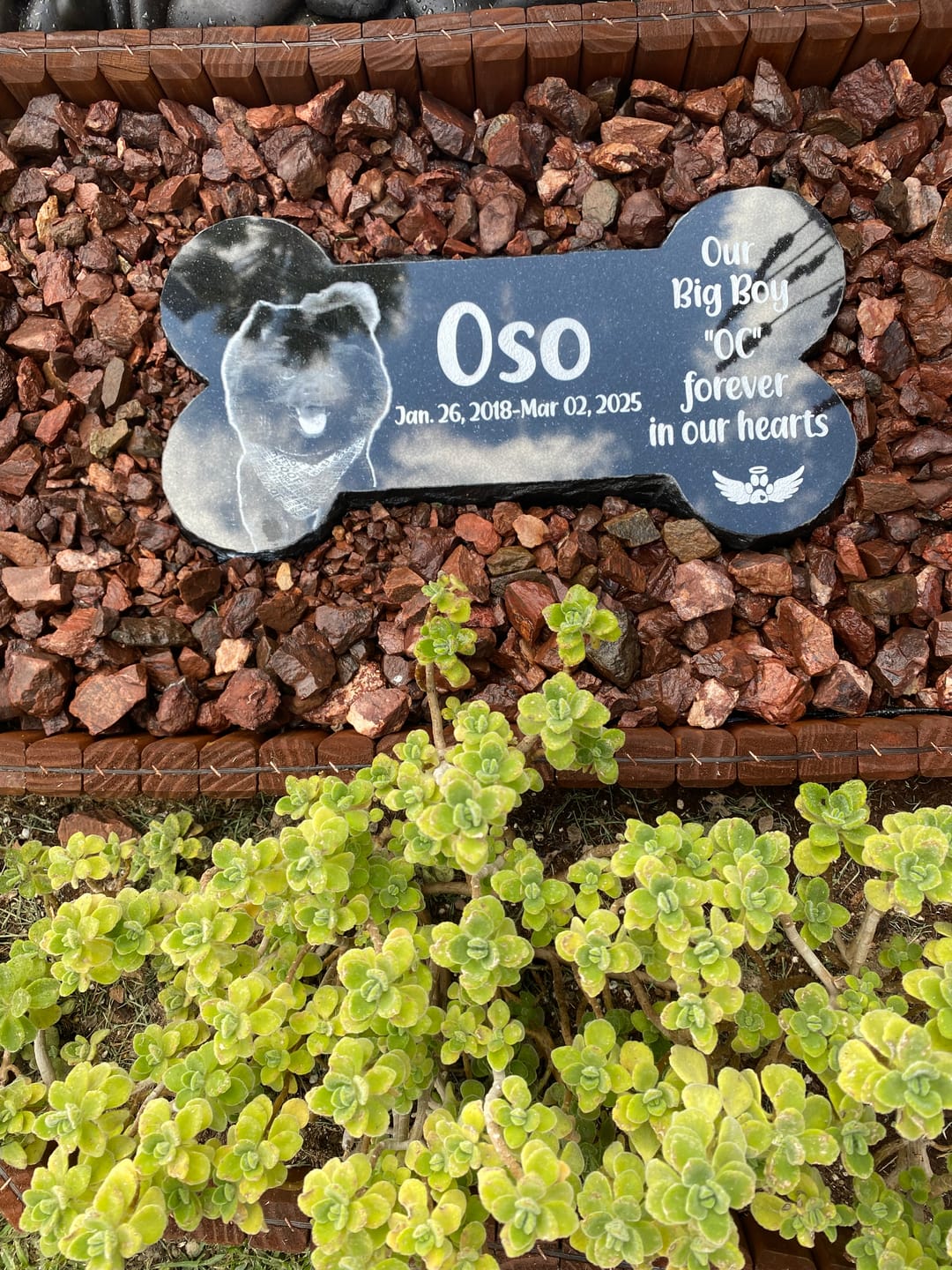 Customer photo review of Bone Shape Outdoor Pet Marker Granite Your Life Was a Blessing