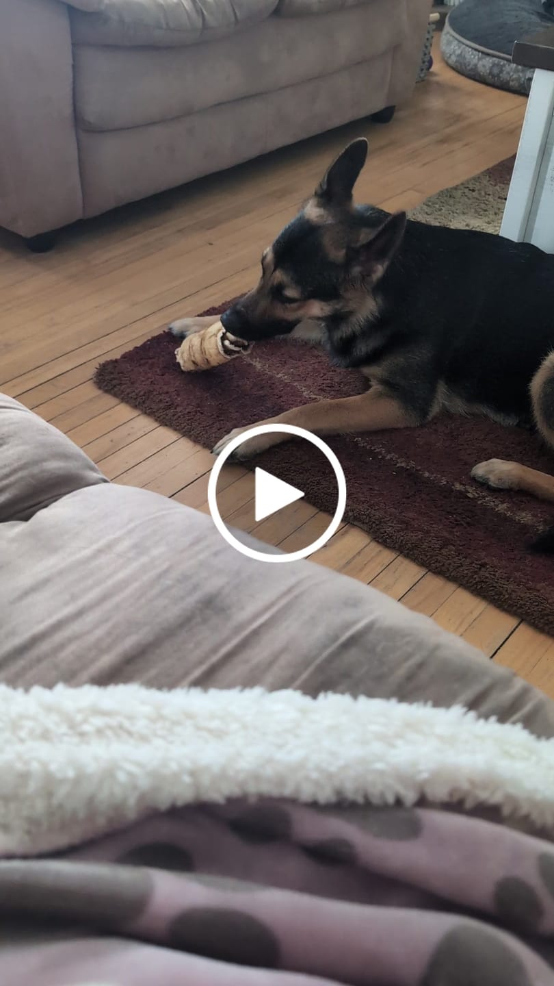 Customer video review of 10-12 Inch Peanut Butter Cheek Roll