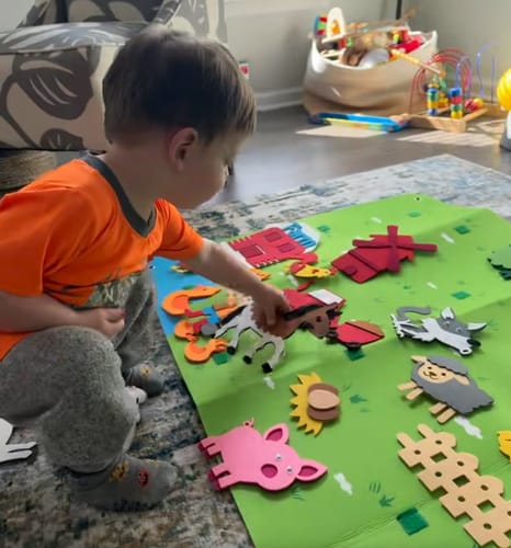 Customer photo review of FeltWorlds