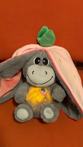 Customer photo review of Atmender Esel-Plüsch