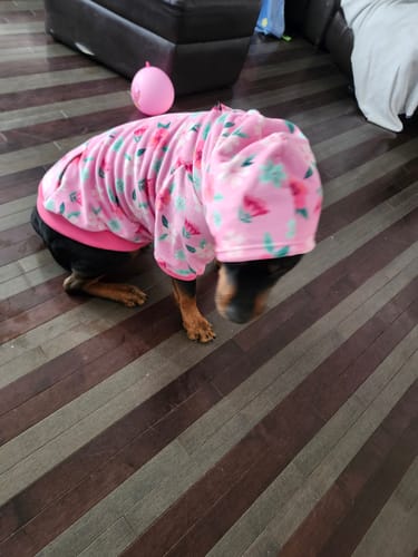 Customer photo review of Blossom Dog Hoodie - Pink