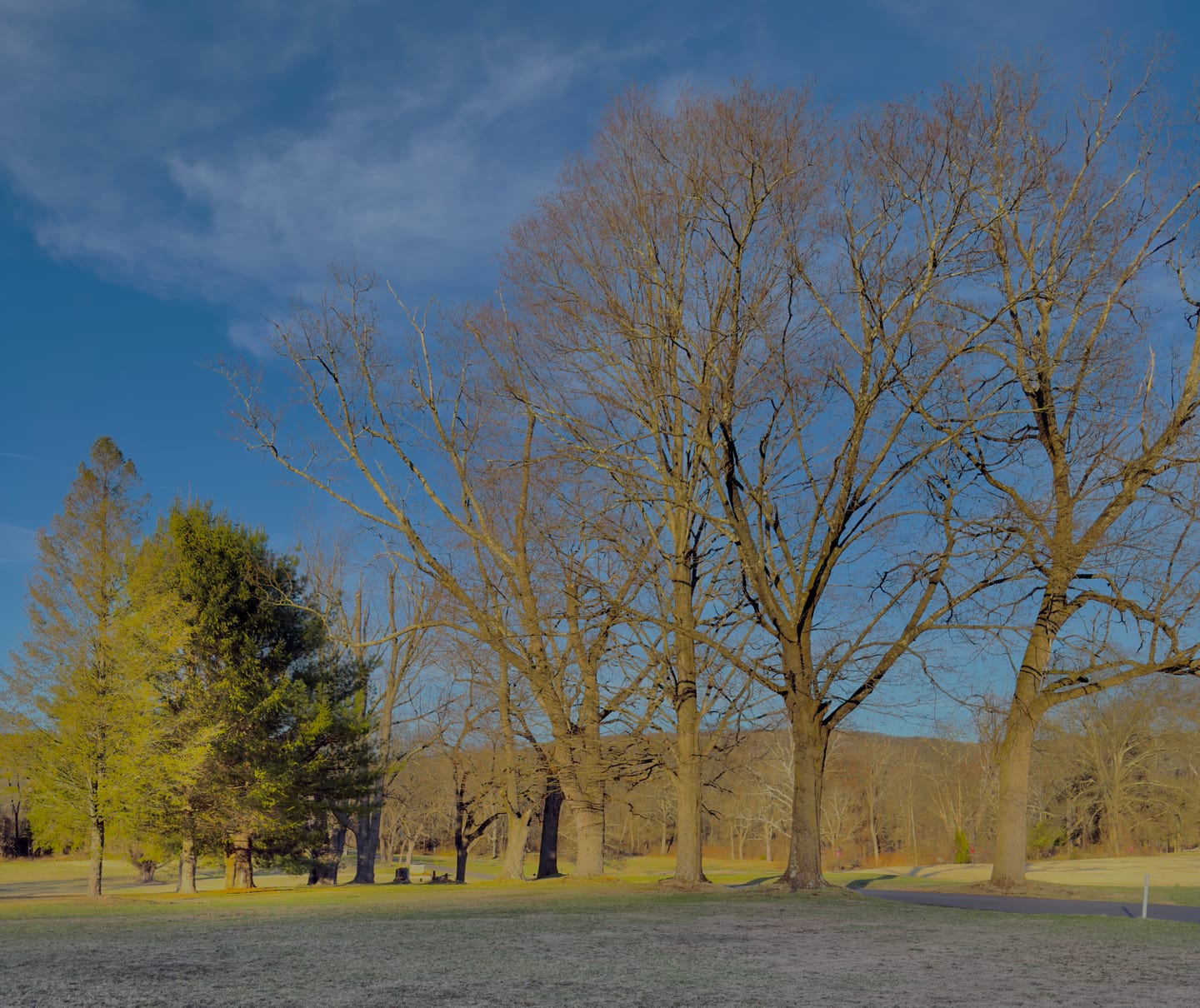 Customer photo review of Pro Series 1.7X Telephoto Lens