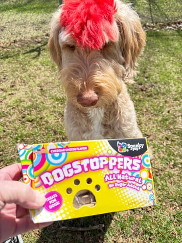 Customer photo review of Dogstoppers Dog Treats, Crunchy Biscuits, Cheese Flavor, 5 oz