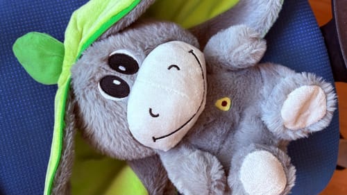 Customer photo review of Atmender Esel-Plüsch