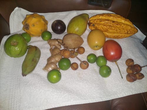 Customer photo review of Tropical Variety Box