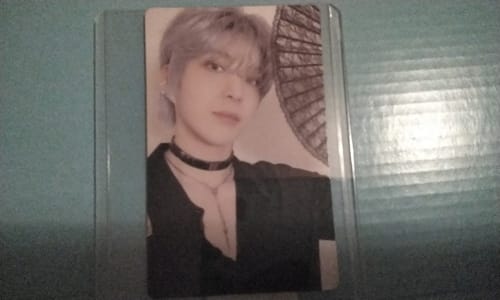 Customer photo review of Shipping Protection