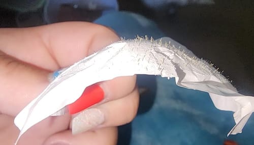 Customer photo review of Deep Cleansing Pore Strips