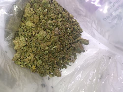 Customer photo review of Purple Urkle THCA Trim