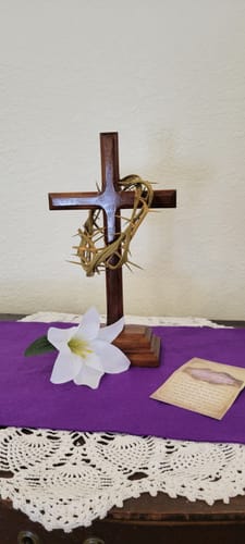 Customer photo review of 6" Crown of Thorns