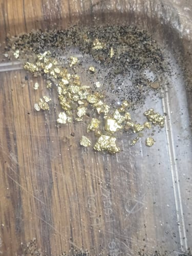 Customer photo review of All items 'on the house' TRIPLE 3X