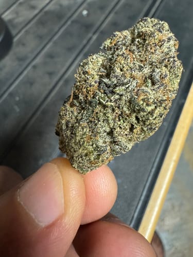 Customer photo review of Gelato Cake