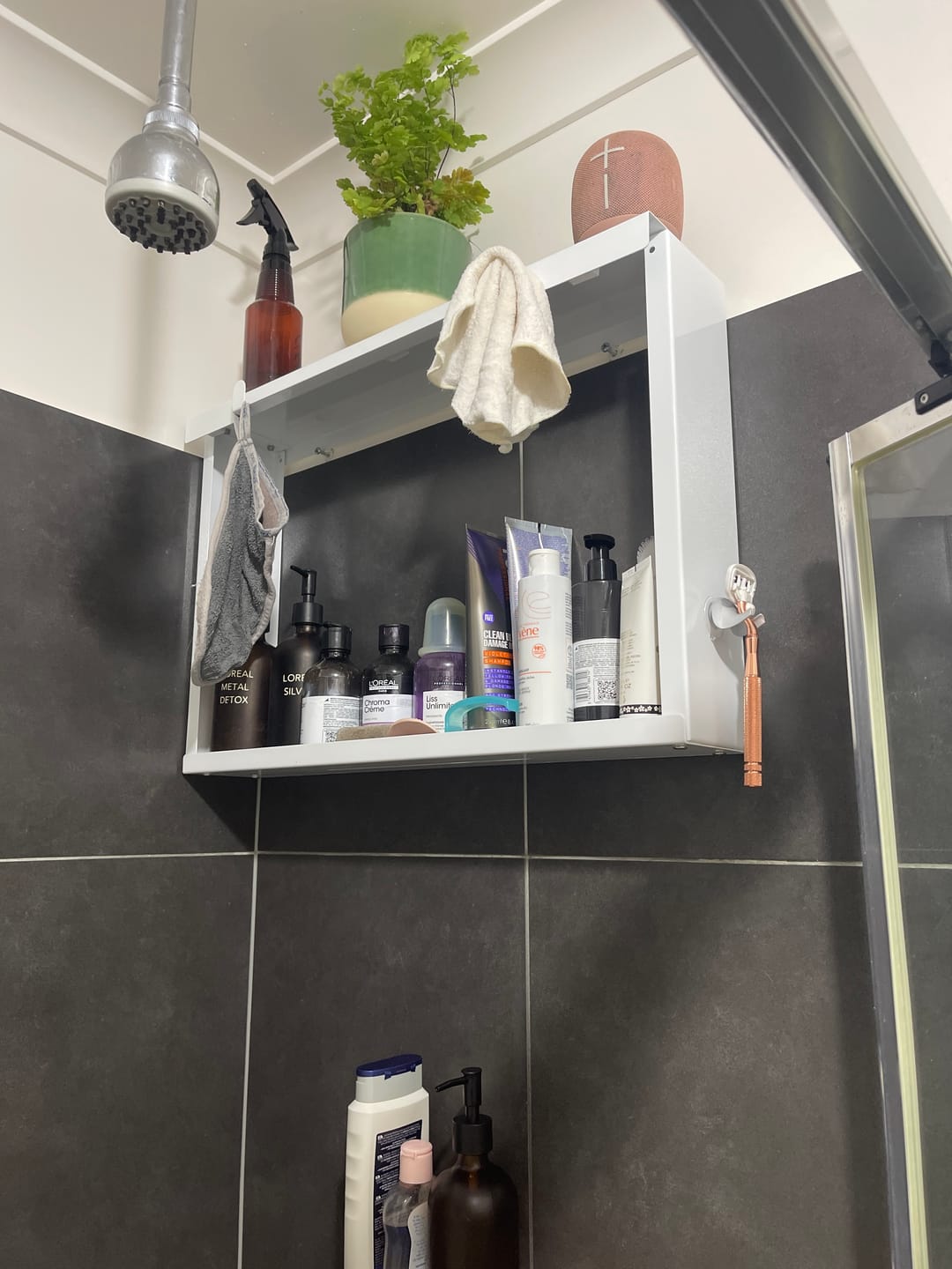 Customer photo review of Shower Shelf Caddy