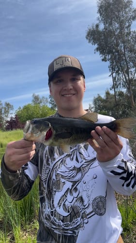 Customer photo review of Custom Bass Fishing Tattoo Grass Camo Long Sleeve Tournament Fishing Shirts, Bass Fishing Jerseys IPHW6077