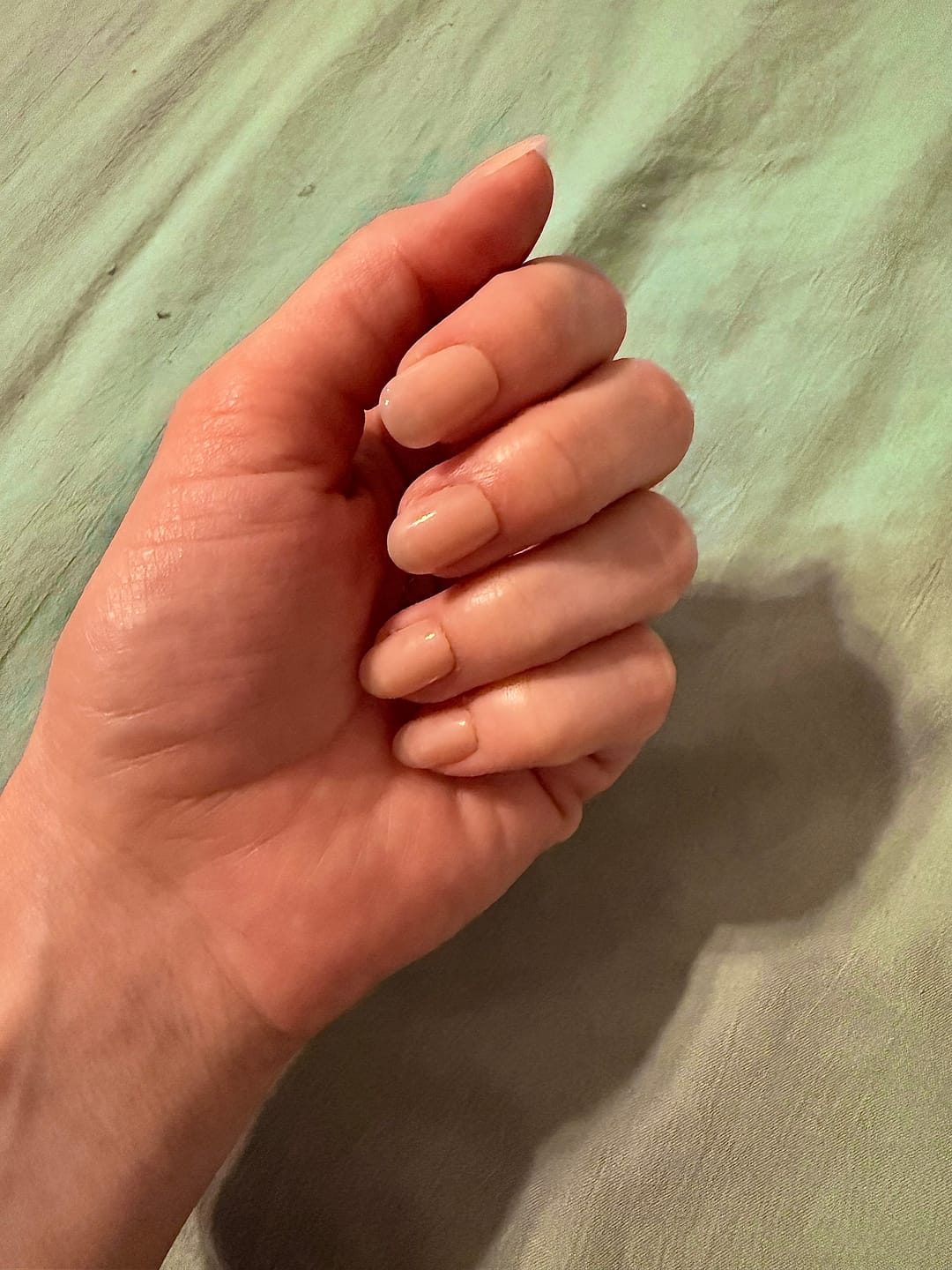 Customer photo review of Fresh Start