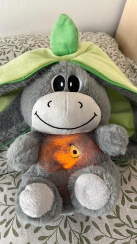 Customer photo review of Atmender Esel-Plüsch