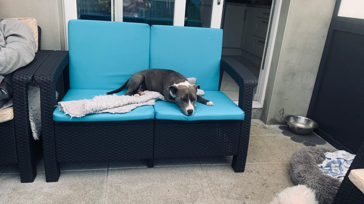 Customer photo review of Outdoor Rattan Furniture Seat Pads Water Resistant Keter Corfu Furniture Cushions