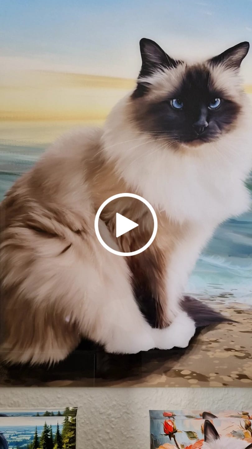 Customer video review of Handgemaltes Haustierportrait auf Acrylglas im Naturalistischen Stil