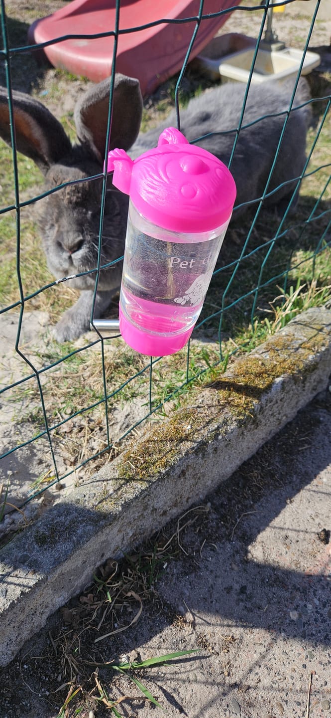 Customer photo review of Nagertränke Wasserspender Wasserflasche für Nager, 500ml rosa