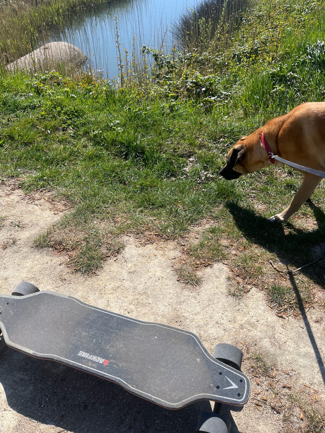 Customer photo review of Backfire G2 Black Electric Skateboard
