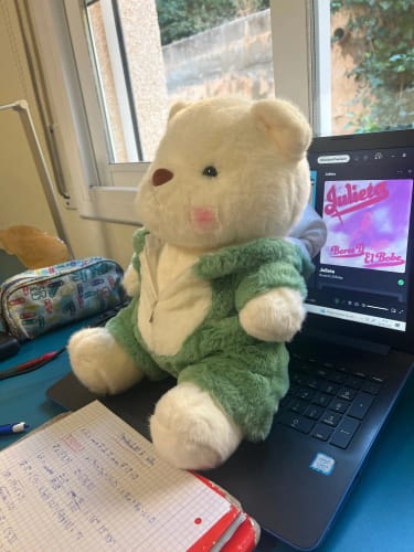 Customer photo review of Puffy Bear | Adorable Osito Hecho a Mano