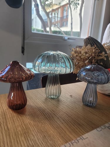 Customer photo review of Mycélium®