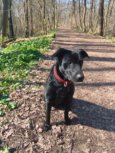 Customer photo review of Relax Time