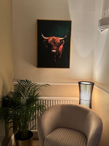 Customer photo review of Highland Cow Print