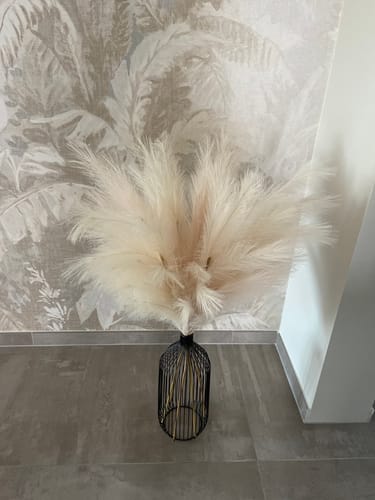 Customer photo review of Pampas 110cm (3 stengels)- Crème