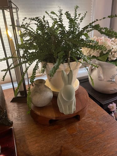 Customer photo review of Odin Budvase