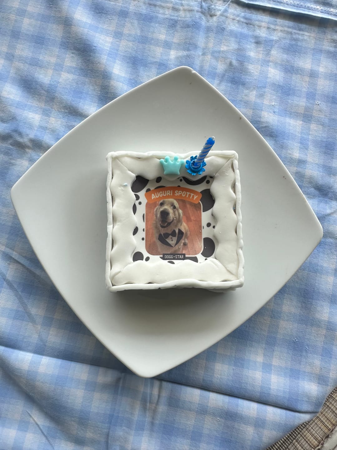 Customer photo review of Fotogenica 3 Torta Per Cani CON FOTO e NOME