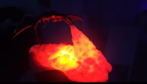 Customer photo review of Unique Fire Dragon 3D Printed LED Night Lights Gifts