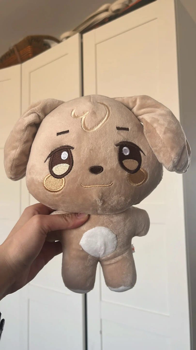 Customer photo review of Ateez x ANITEEZ IN ILLUSION Plush Doll