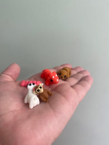 Customer photo review of Mini Fidget Pets