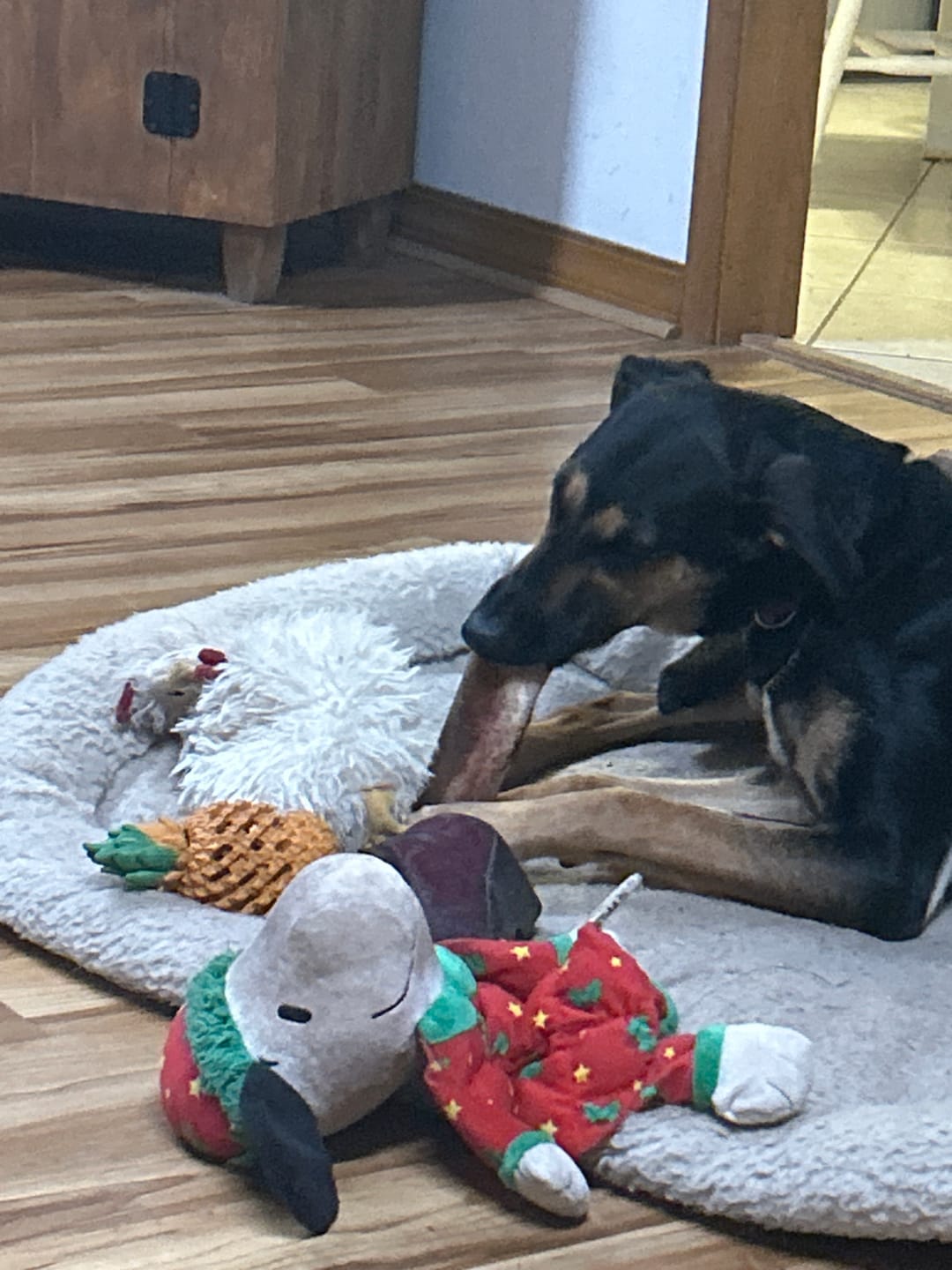 Customer photo review of Smoked Beef Marrow Bones