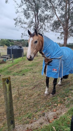 Customer photo review of Zilco Hamilton Combo Cover