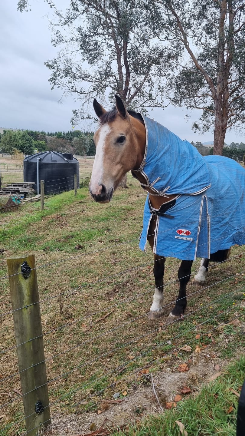 Customer photo review of Zilco Hamilton Combo Cover