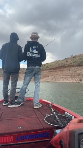 Customer photo review of FEAR KILLS HOODIE