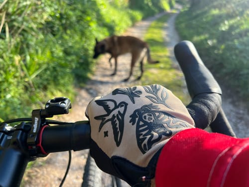 Customer photo review of Jobstopper | Gravity Gloves