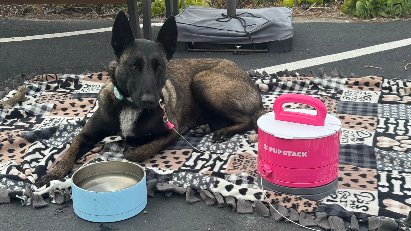 Customer photo review of Pup Stack