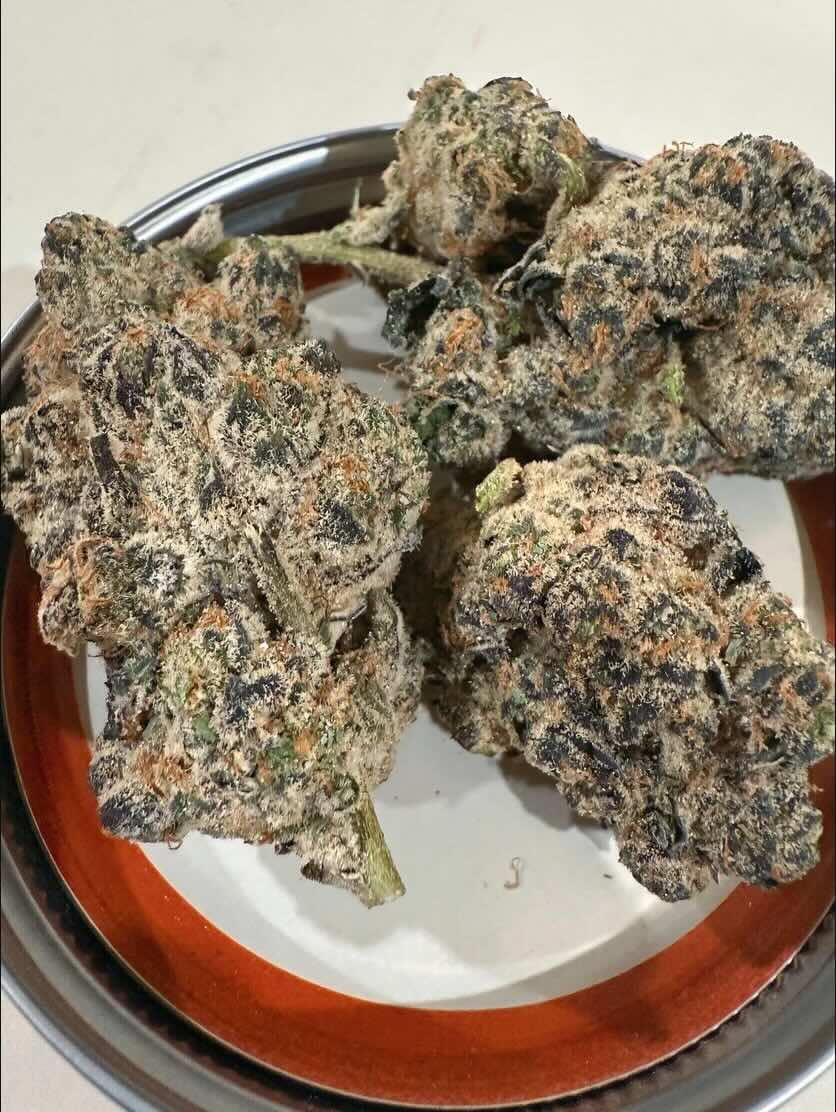 Customer photo review of Mochi