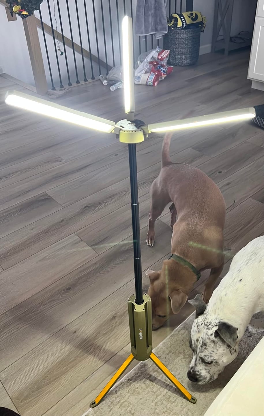 Customer photo review of BougeRV New Outdoor Portable Telescopic Camping Lantern