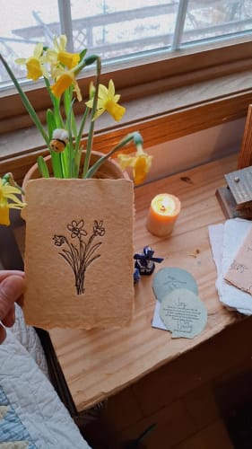Customer photo review of Notecards - Springy I