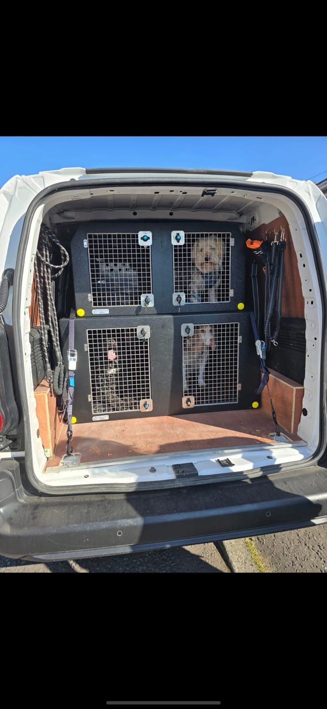 Customer photo review of Dog Van Kit | Citroën Berlingo | 2008-Present | Double stack | DT VS1