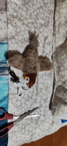 Customer photo review of Small Animal Toy Haven