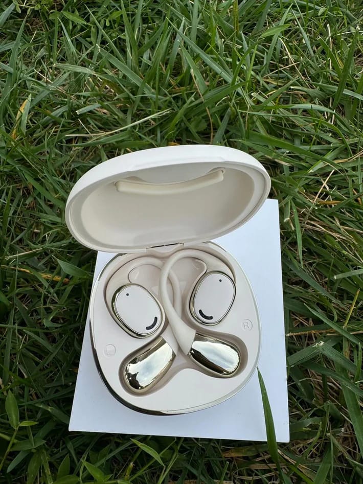 Customer photo review of AI Translator Earbuds
