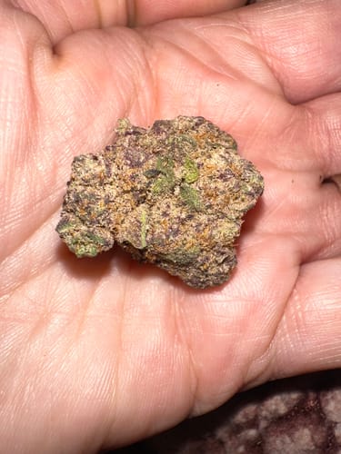Customer photo review of Purple Push Pop -THCa Flower