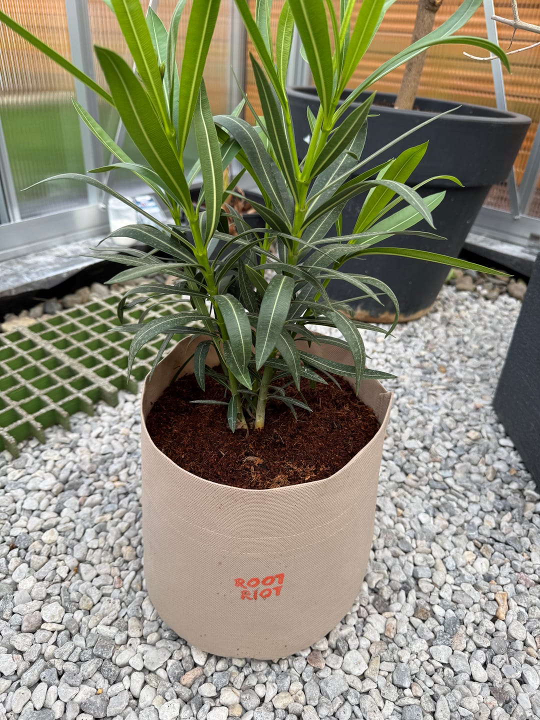 Customer photo review of Root Heaven Stoff Topf