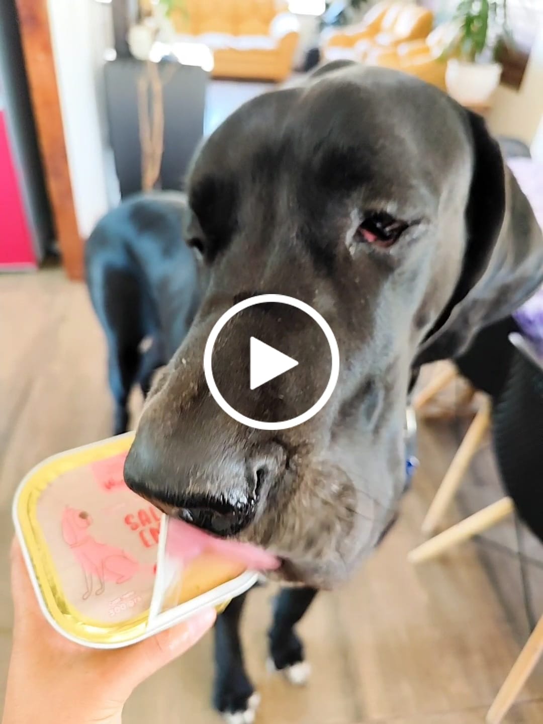 Customer video review of Salmon Energy