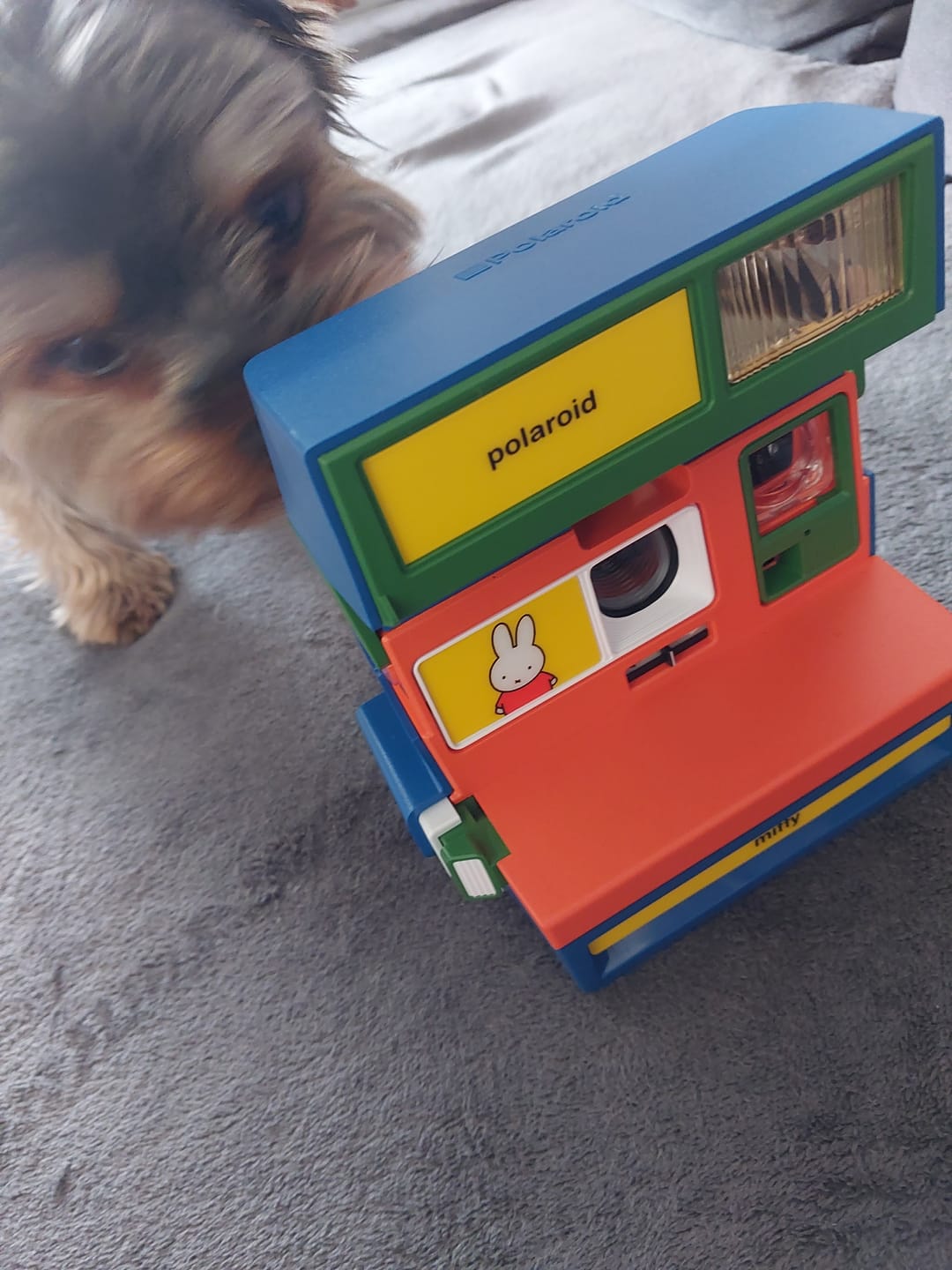 Customer photo review of Polaroid 600 Miffy Colorblock Instant Film Camera