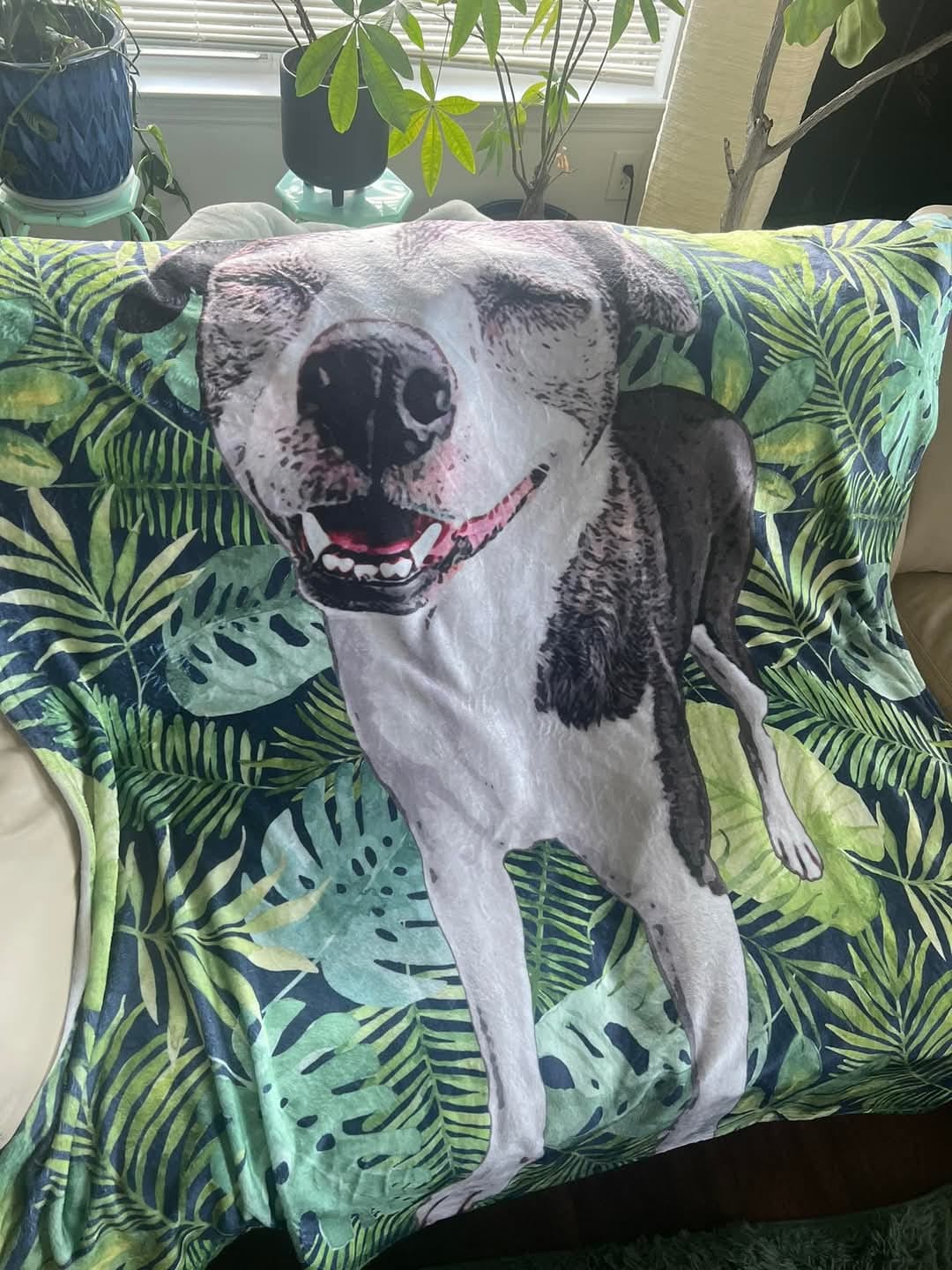 Customer photo review of Custom Pet Art Fleece Blanket